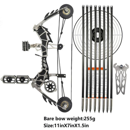 10.2-Inch Stainless Steel Mini Composite Bow, Small Arrows, Suitable for Beginner Archery Practice, Entertainment and Fun Gift, Mini Bow Archery Set
